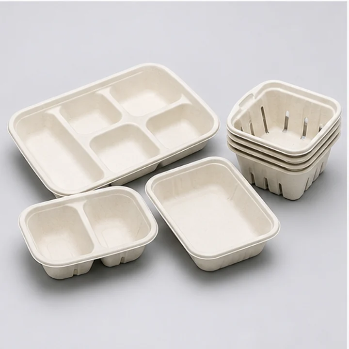 Bagasse Trays - Sugarcane Bagasse Tableware
