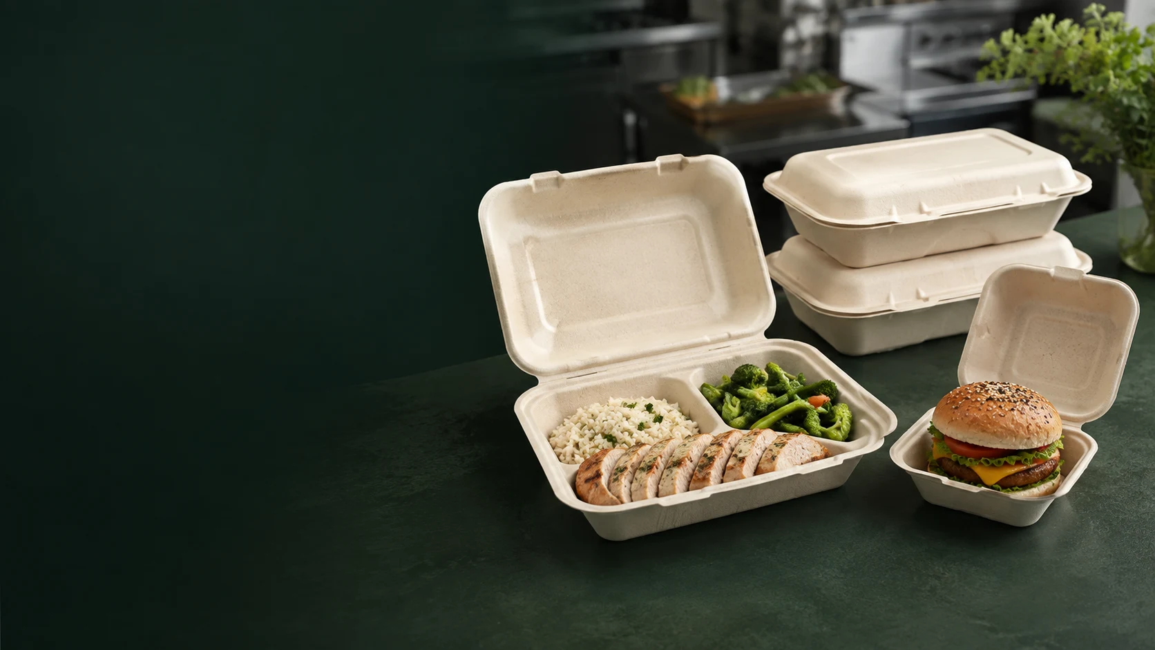 Eco Leader Pack biodegradable packaging display