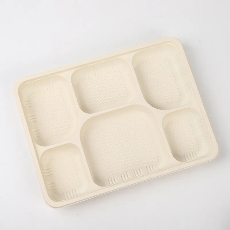 6칸 식품 용기
