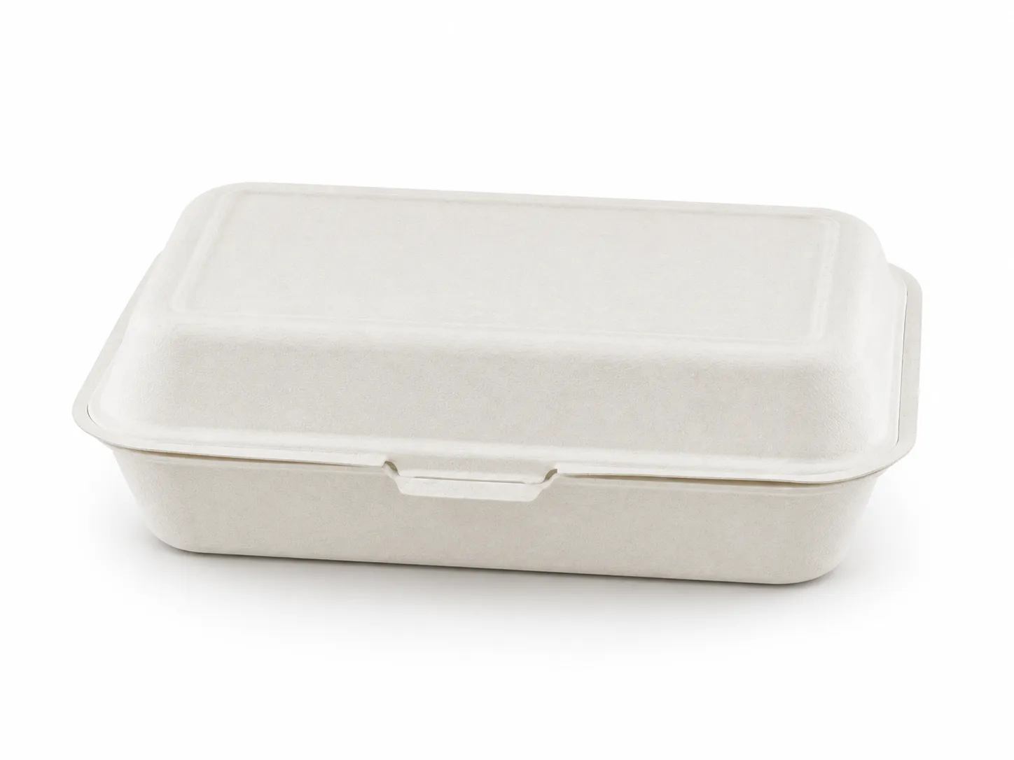 White compact rectangular bagasse clamshell container