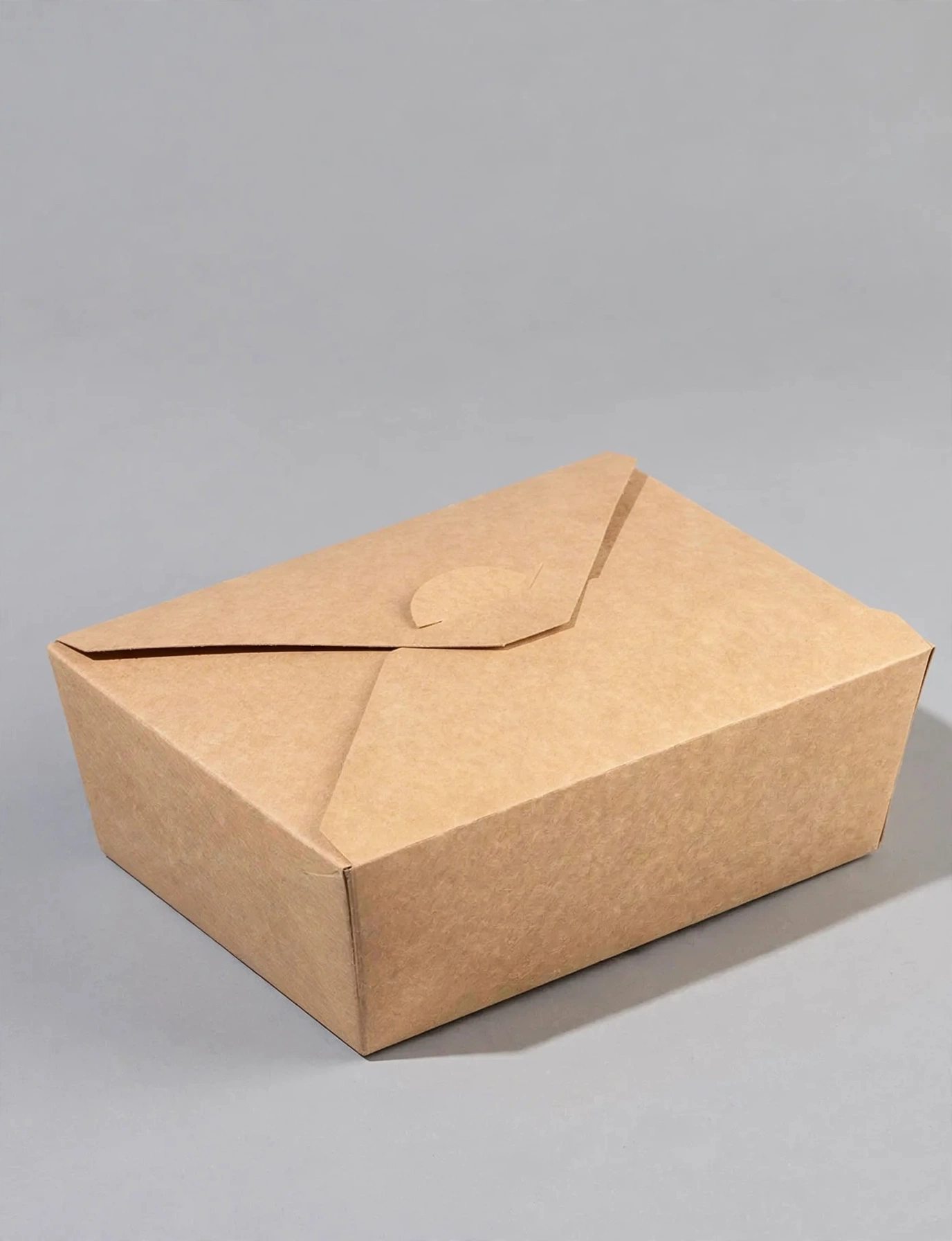 Kraft lunch box with snap-fit closure, lid pressed shut