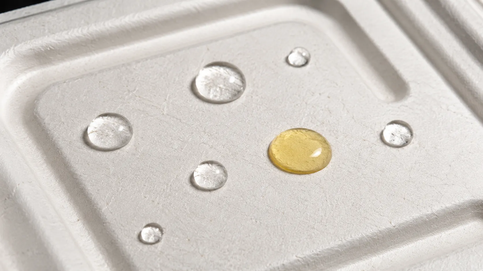 Water and oil droplets on molded bagasse fiber surface