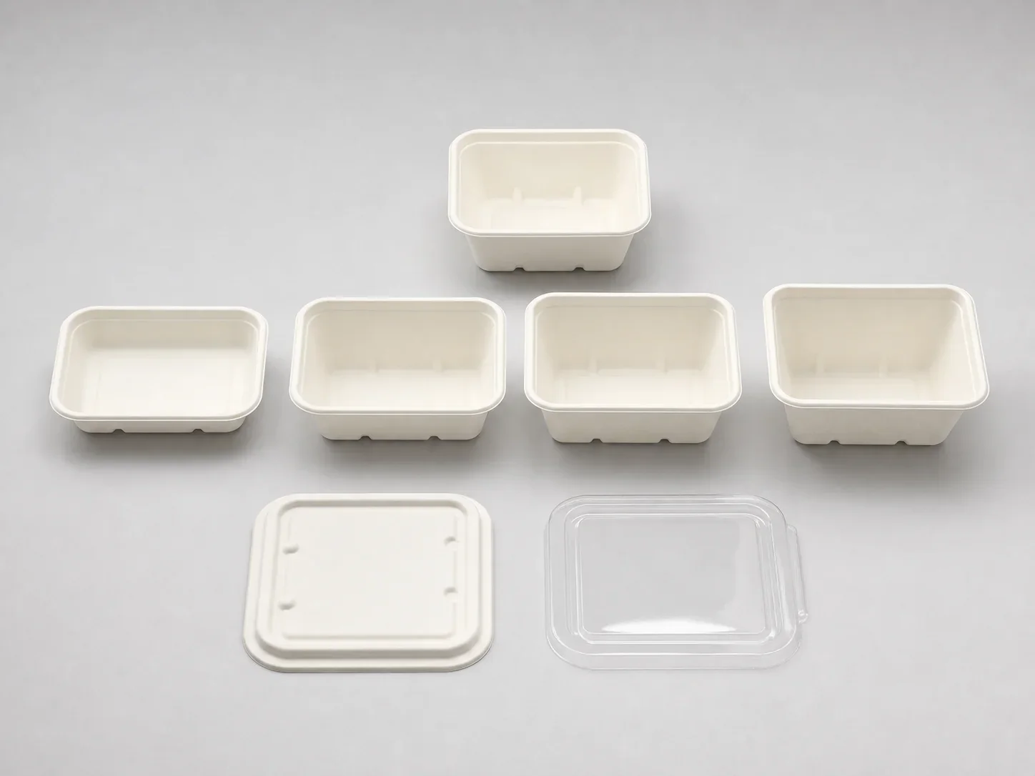Compact and 180 by 125 millimetre rectangular bagasse container family
