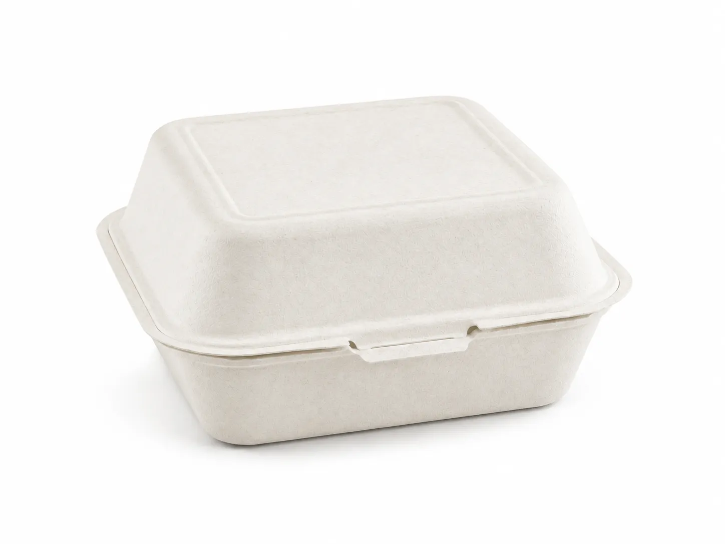 White bagasse burger and sandwich clamshell box