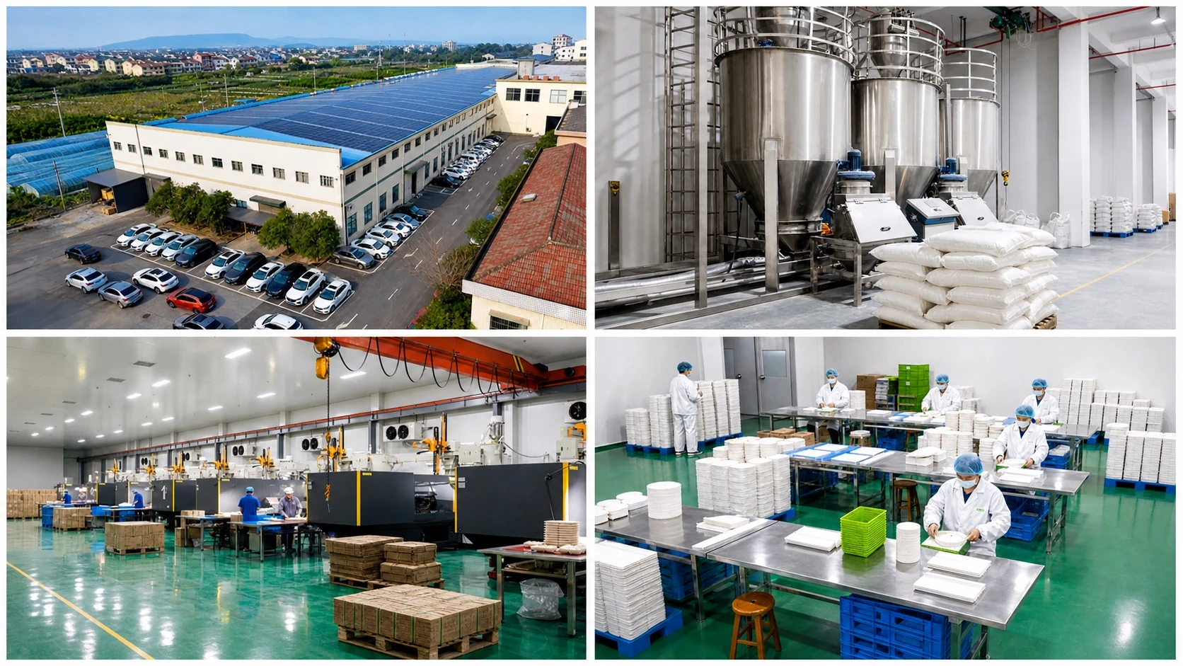 EcoLeaderPack factory, raw material handling, production and packing areas